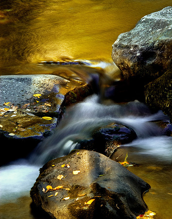 Flowing Water Study 3