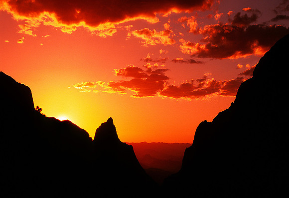 Sunset in the Window