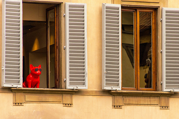 Red in the Window