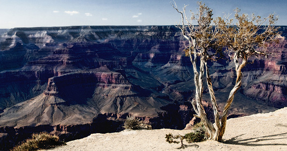 South Rim Sentinel
