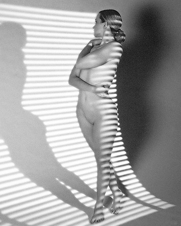 Shadow of a Window Blind